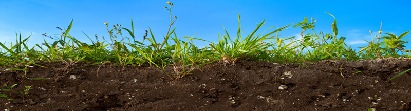 soil-remediaton Soil Remediation